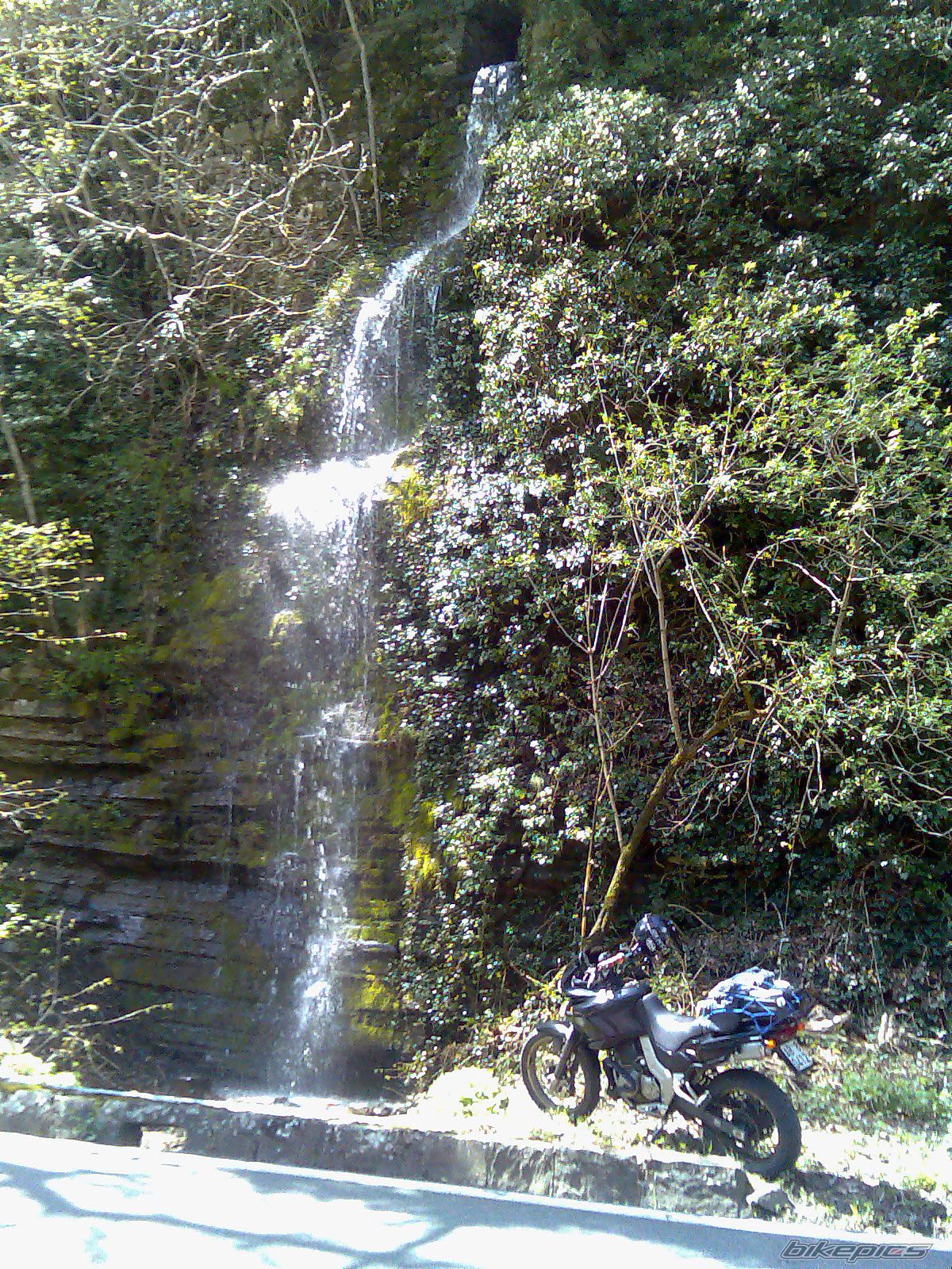 Photo 1394449