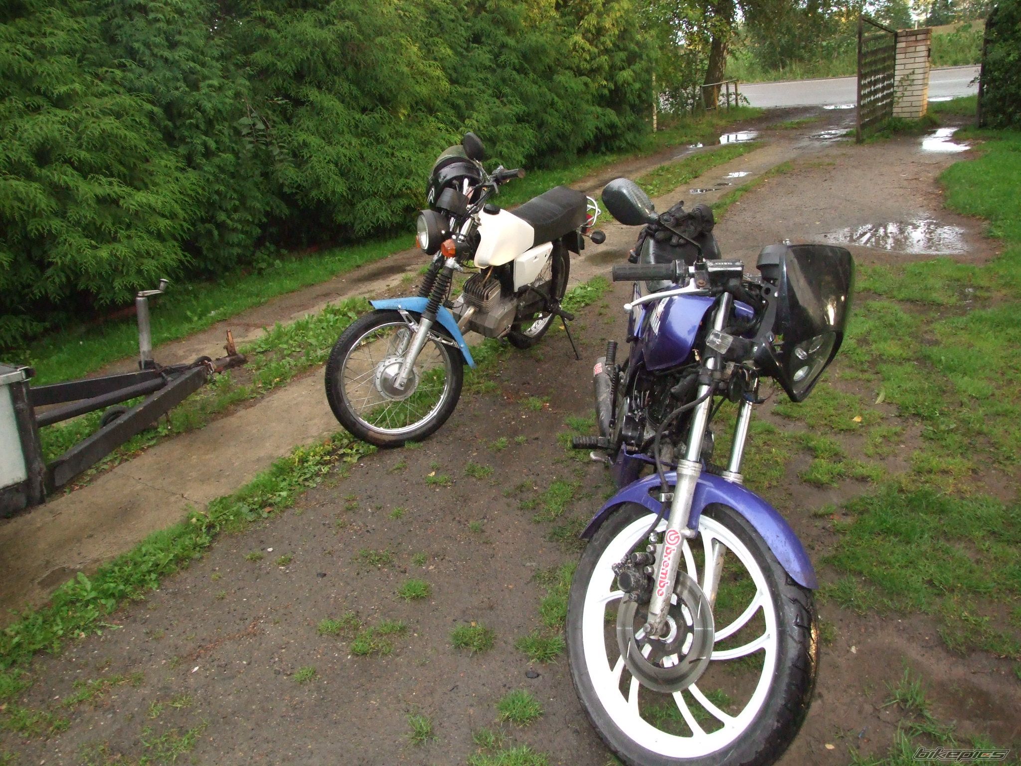 Photo 1394506