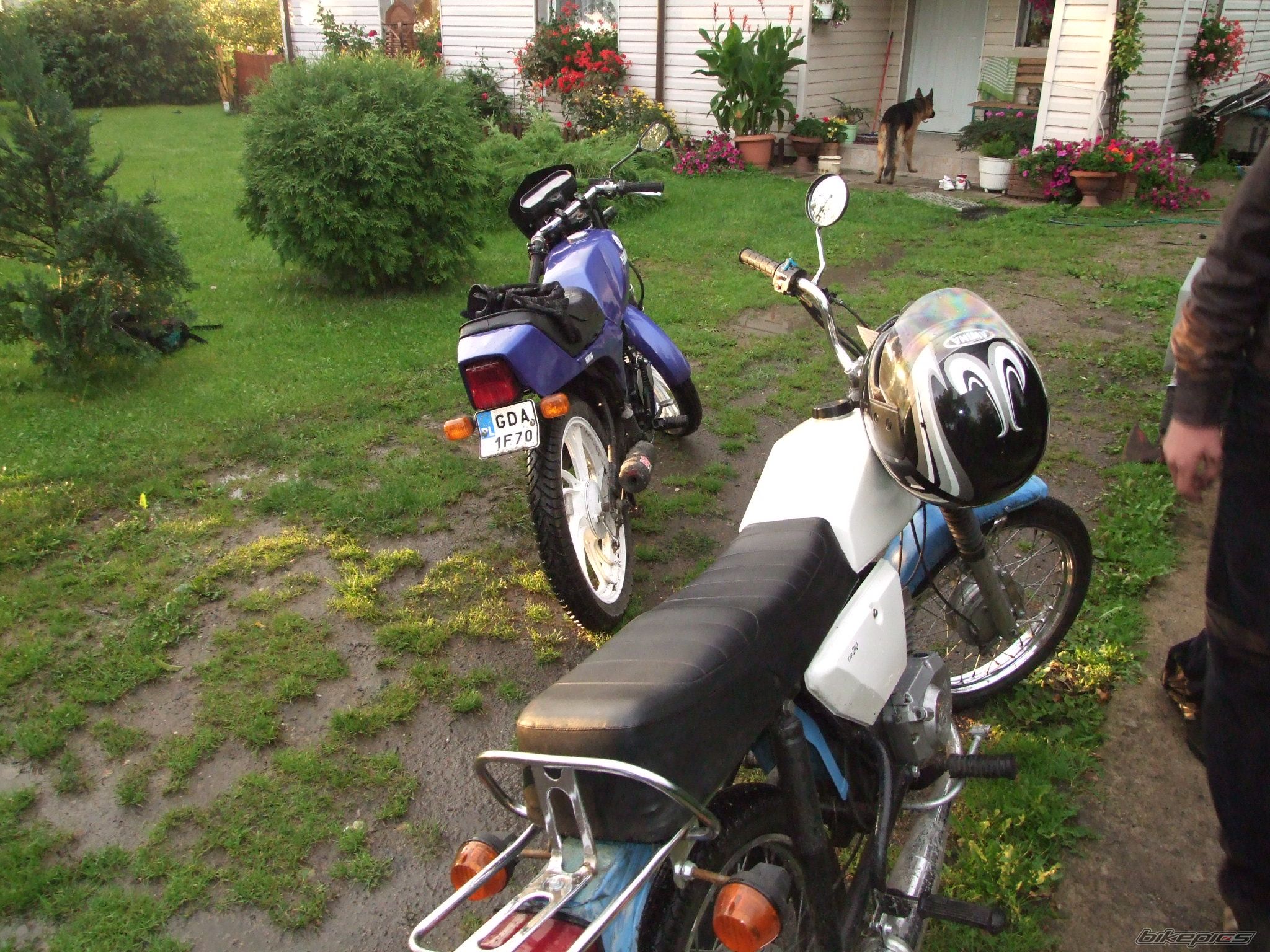 Photo 1394519