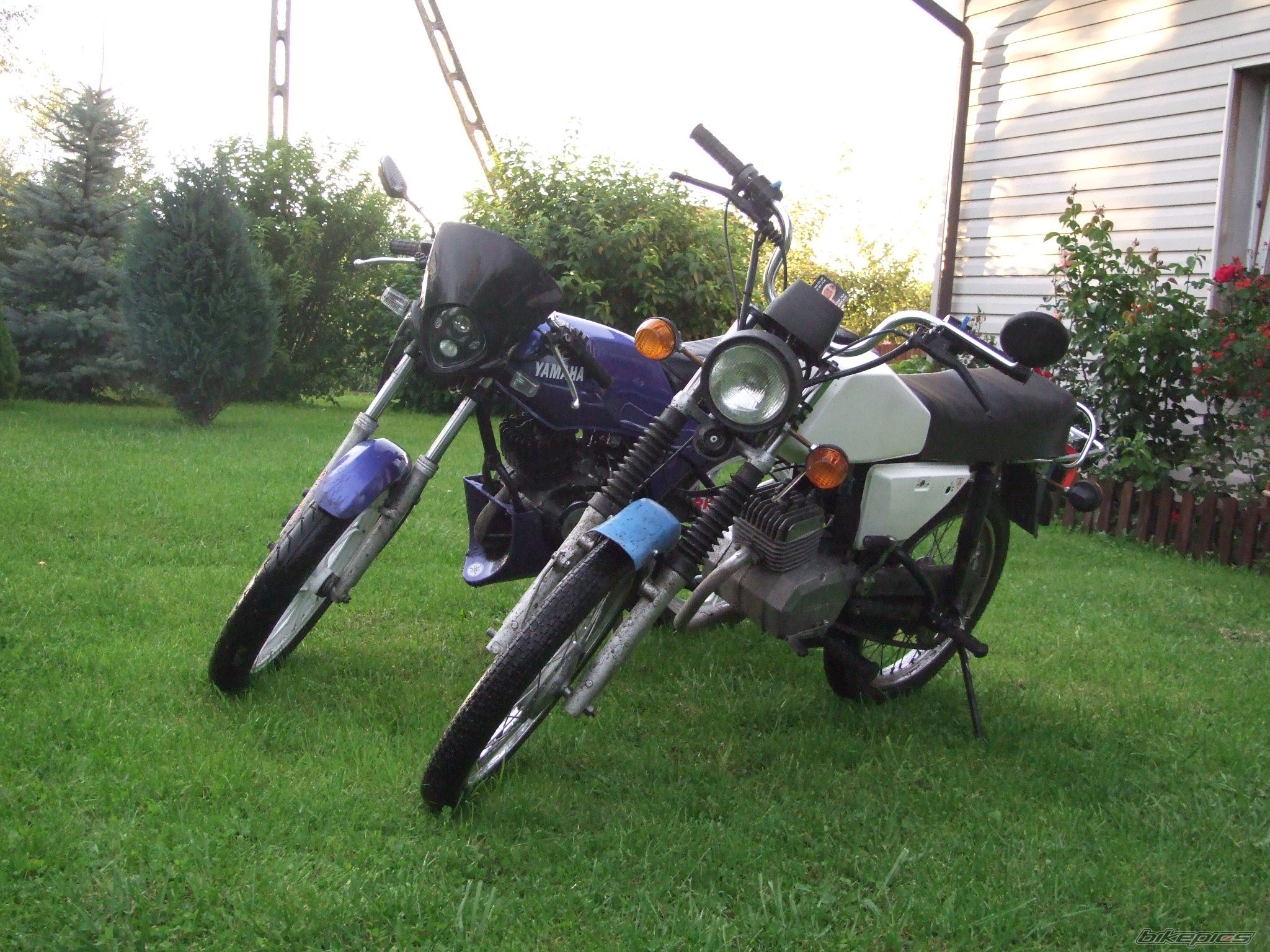 Bike Photo 1394523