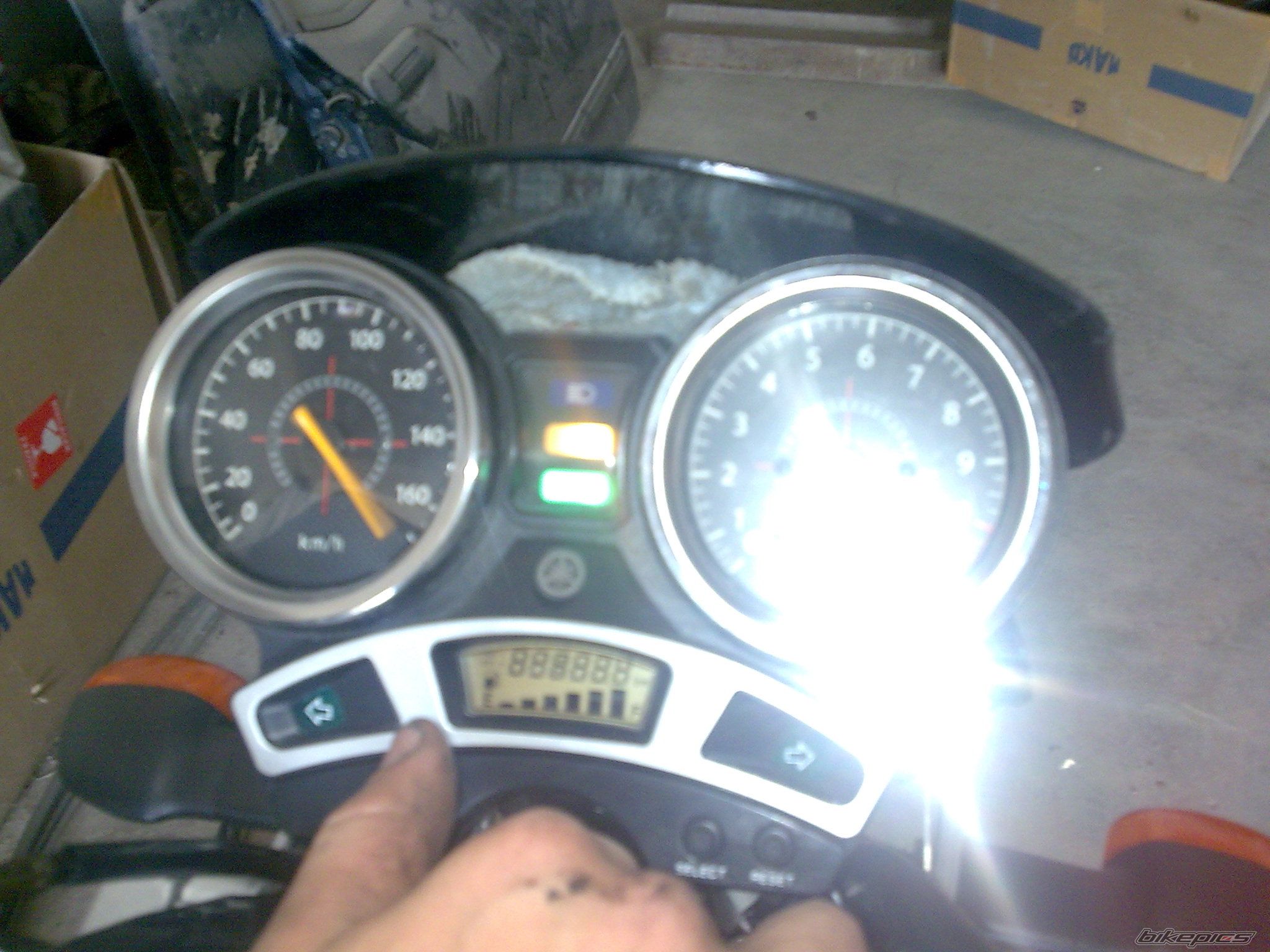 Photo 1394546