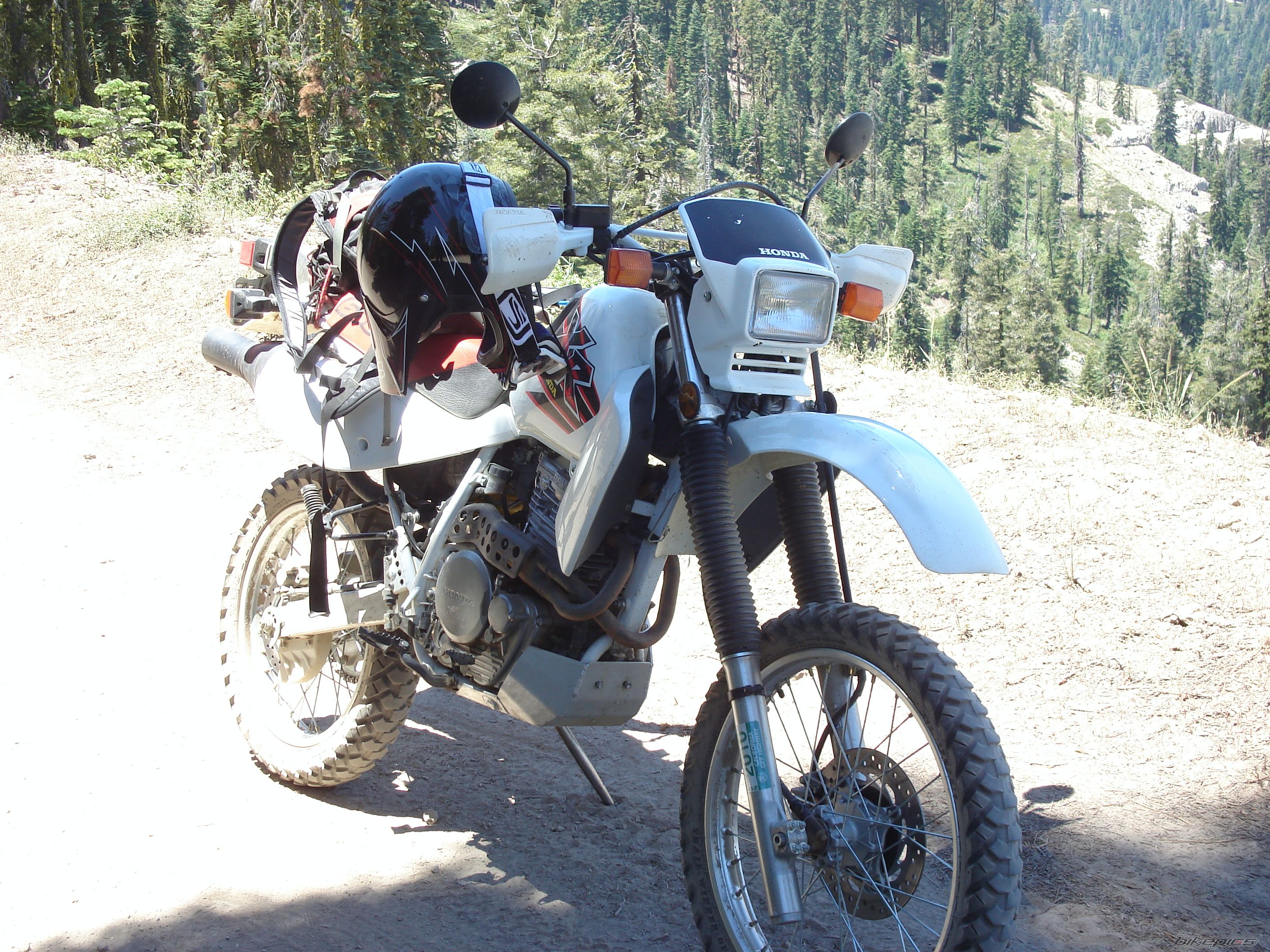 Photo 1394669