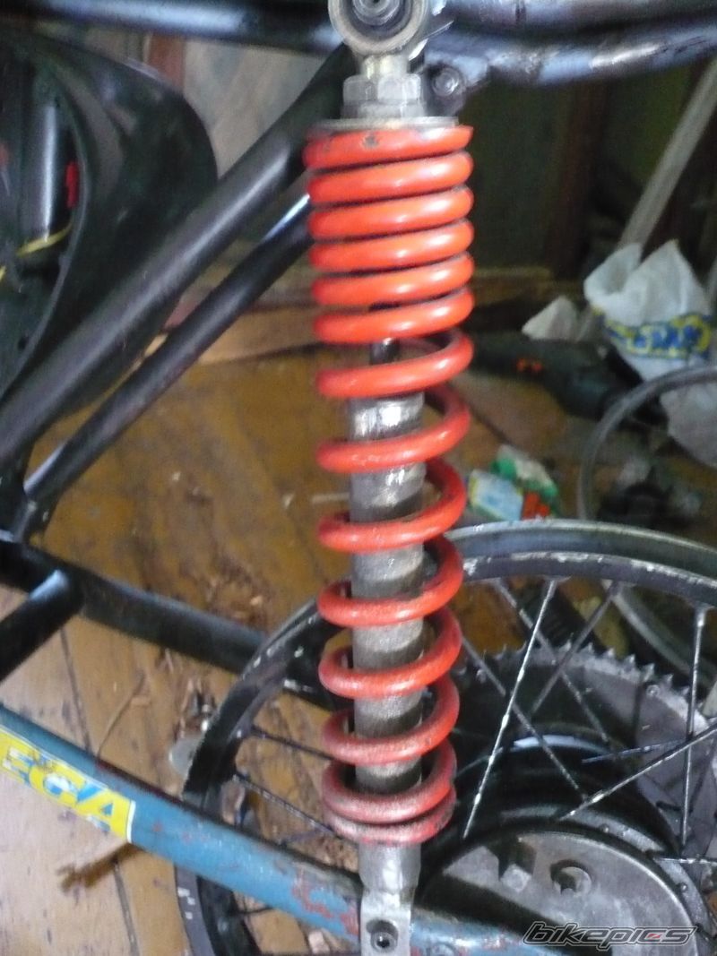 Photo 1395016