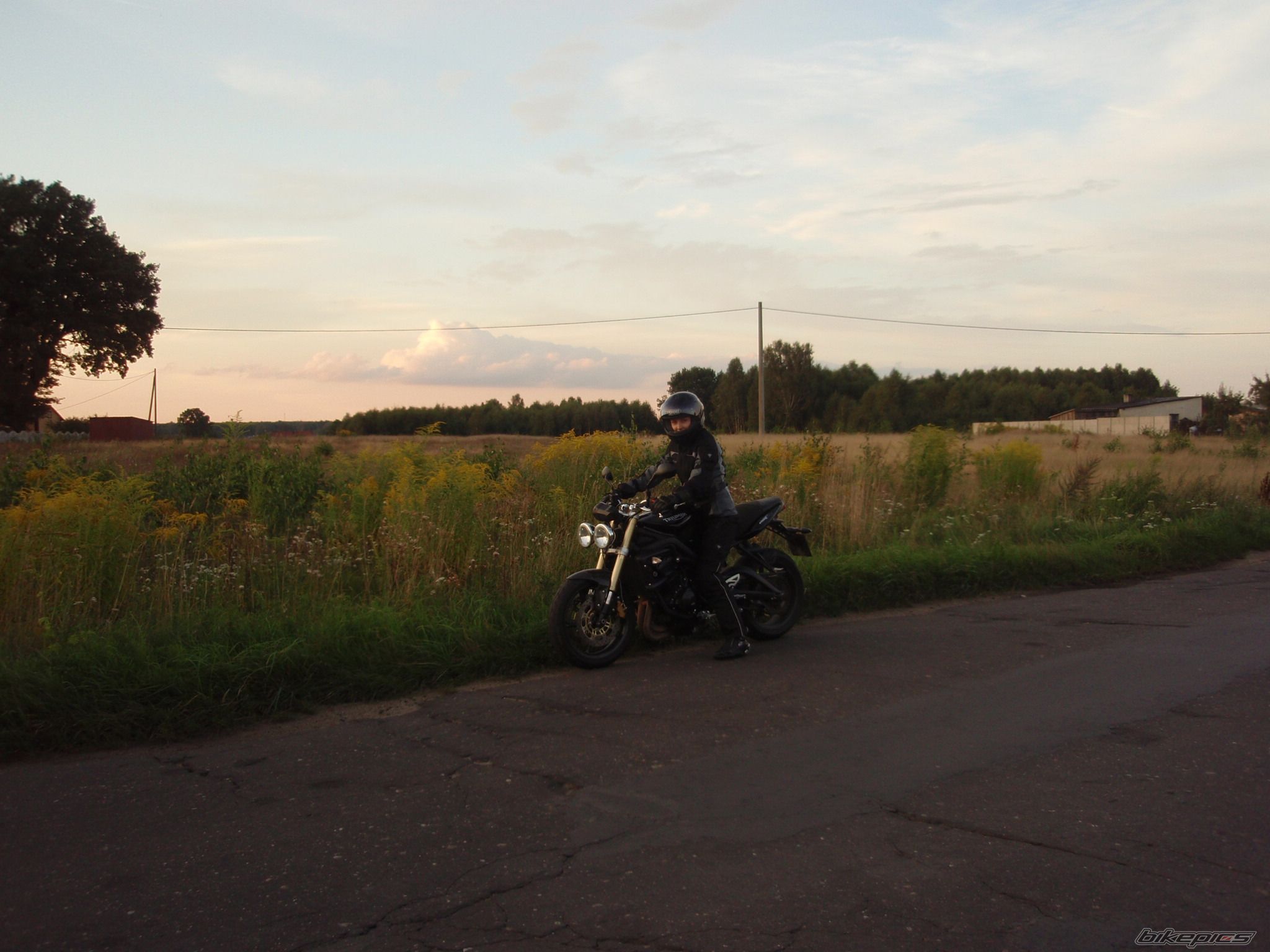 Photo 1395017