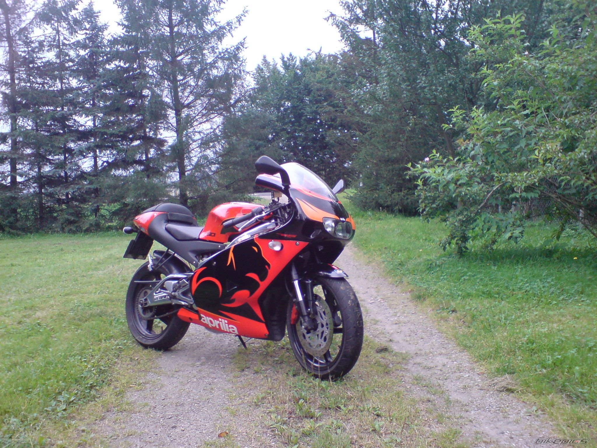 Photo 1395029