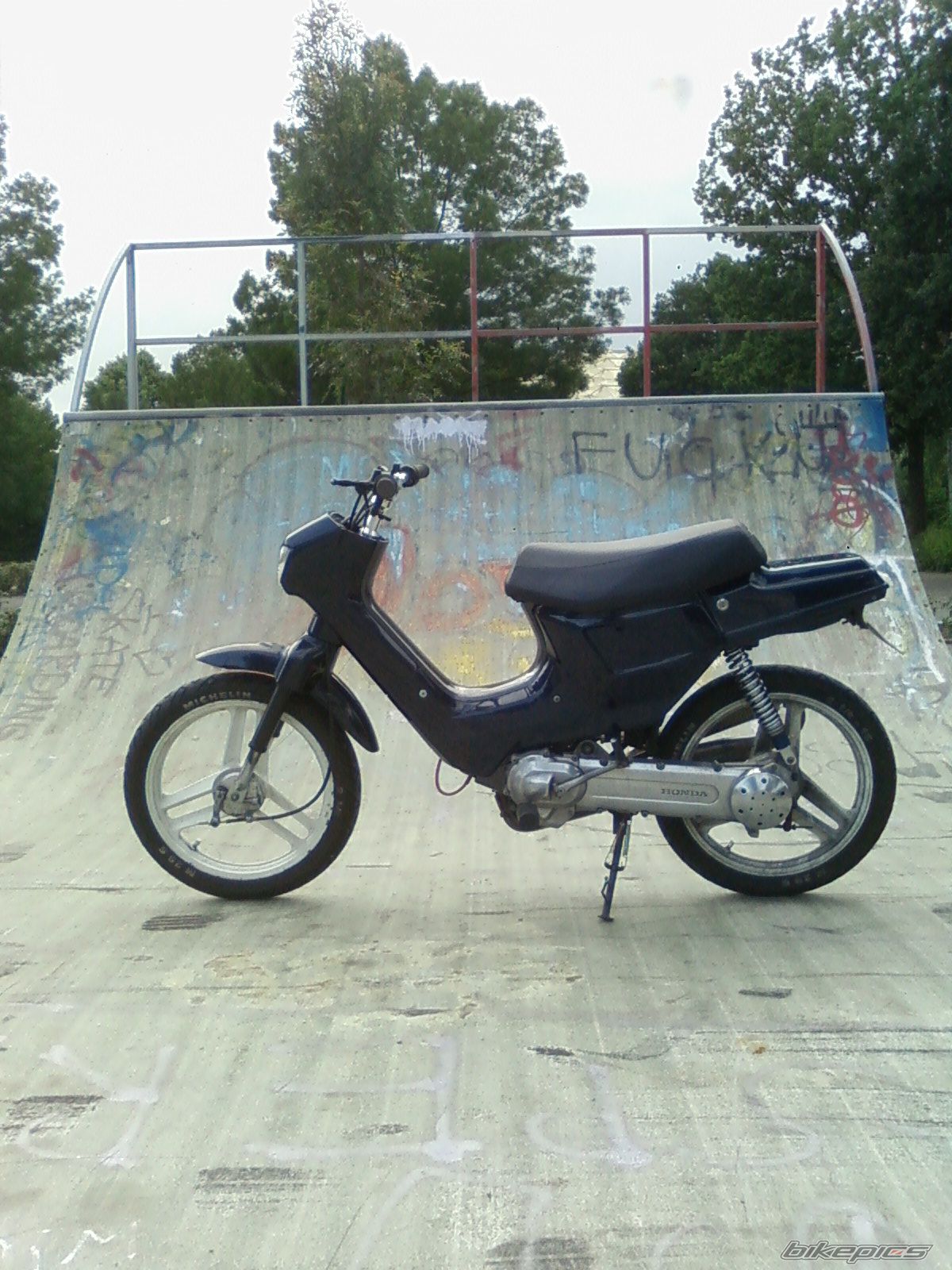 Photo 1395040