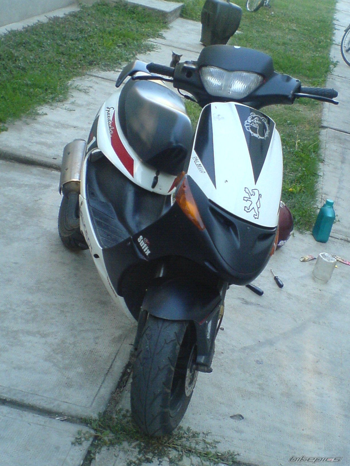 Photo 1395041
