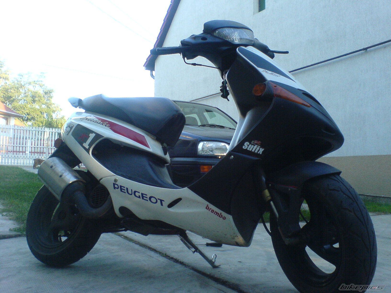 Photo 1395042