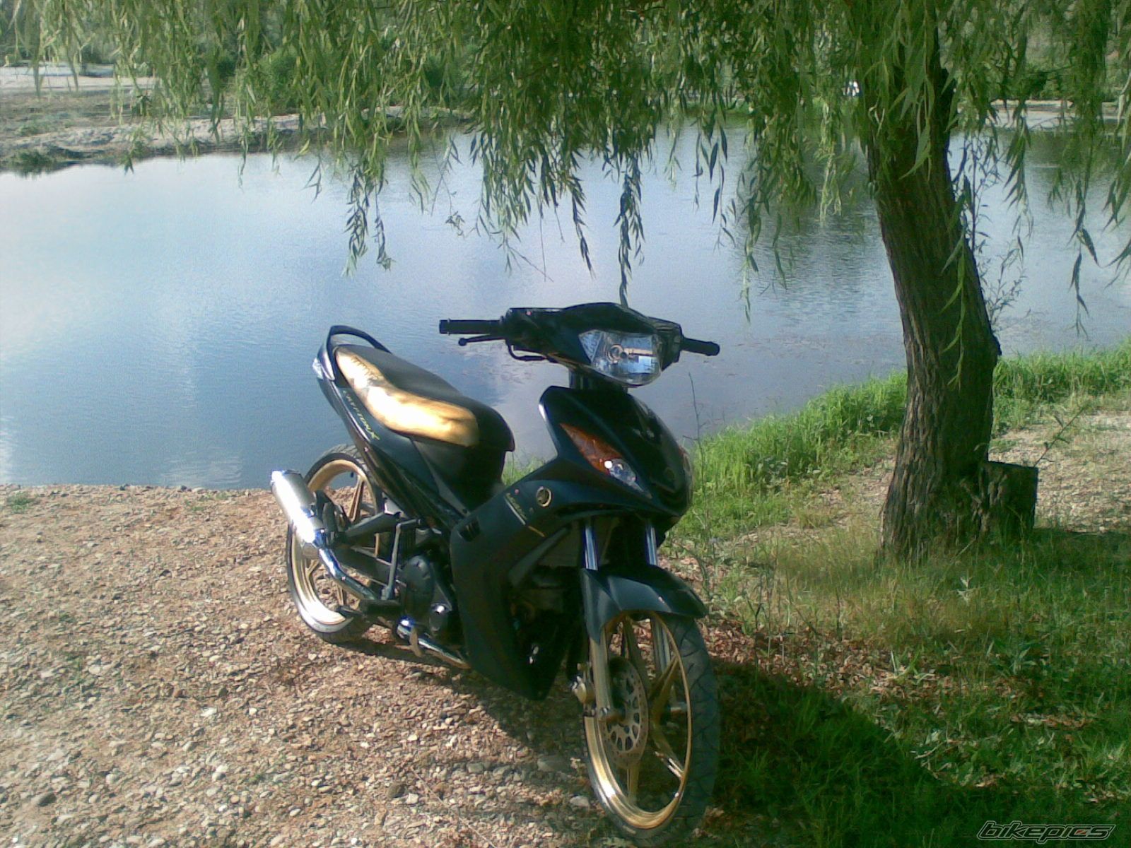 Bike Photo 1395055