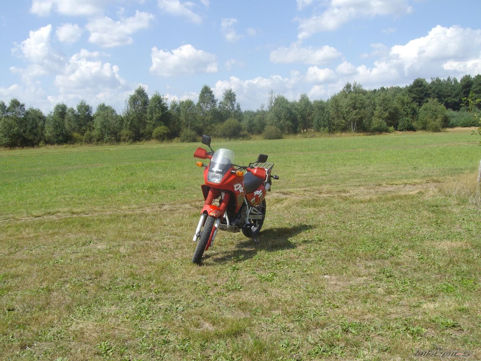 Bike Photo 1395062