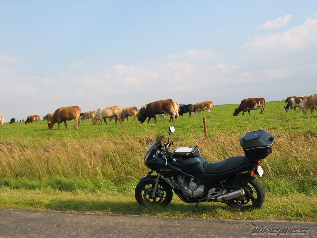 Bike Photo 1395135