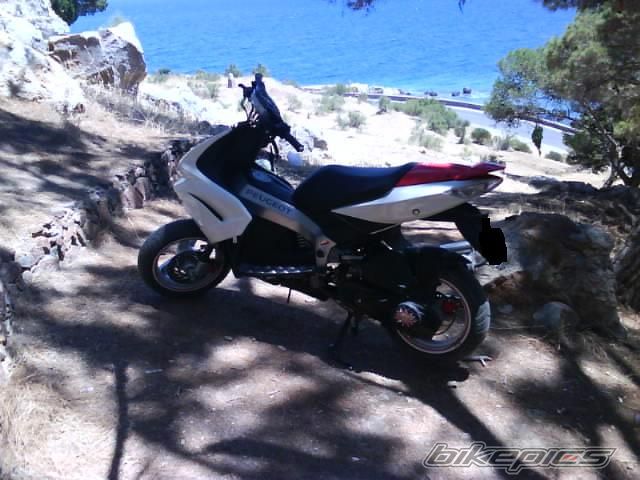 Photo 1395144