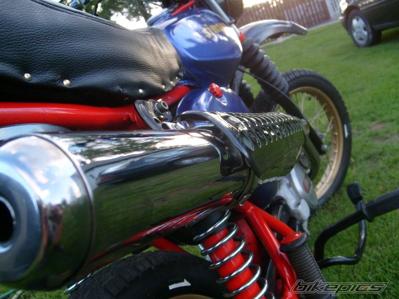 Photo 1395199