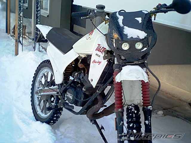 Photo 139525