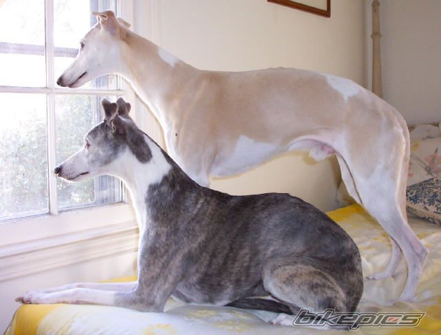 Photo 1395297