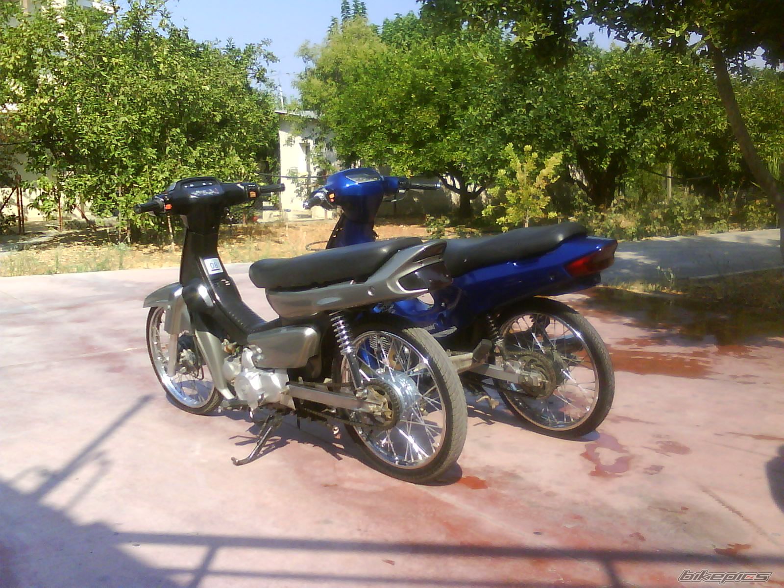 Photo 1395334