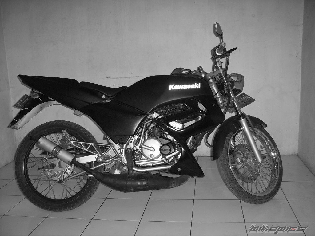 Photo 1395353
