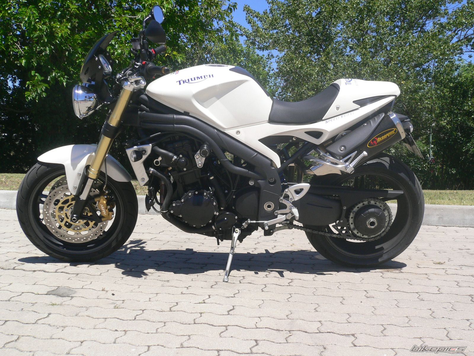 Photo 1395383