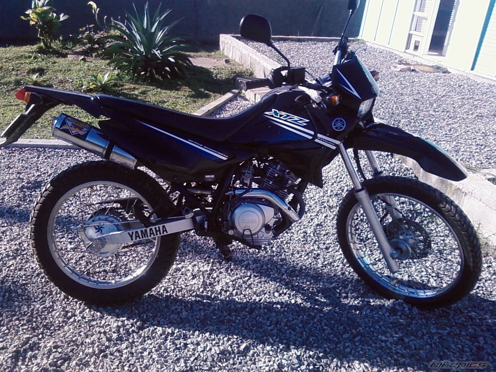 Photo 1395452