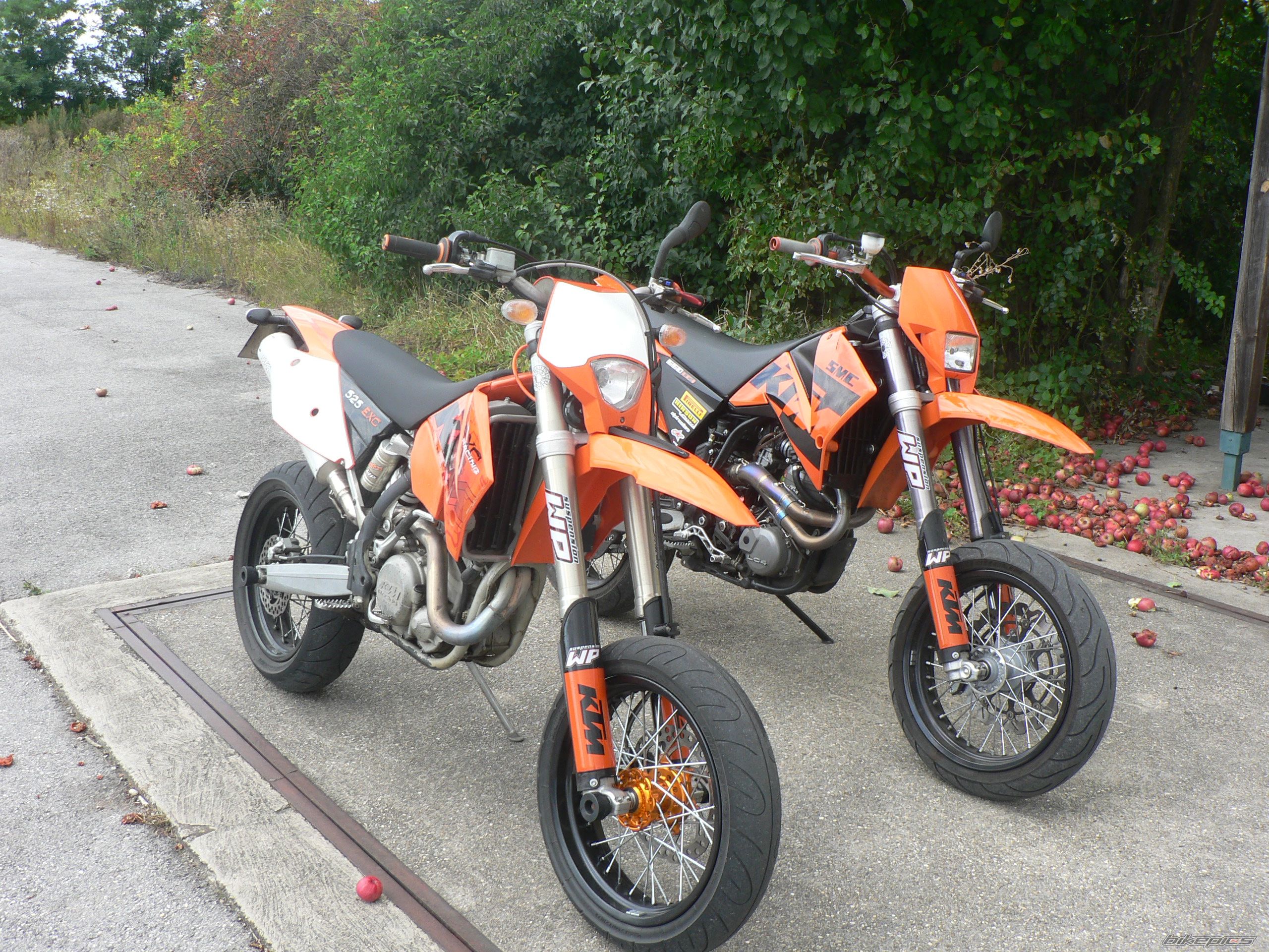 Photo 1395647