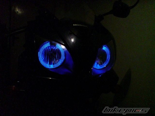 Photo 1395660