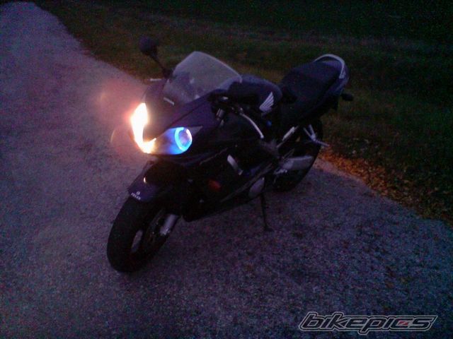 Photo 1395661
