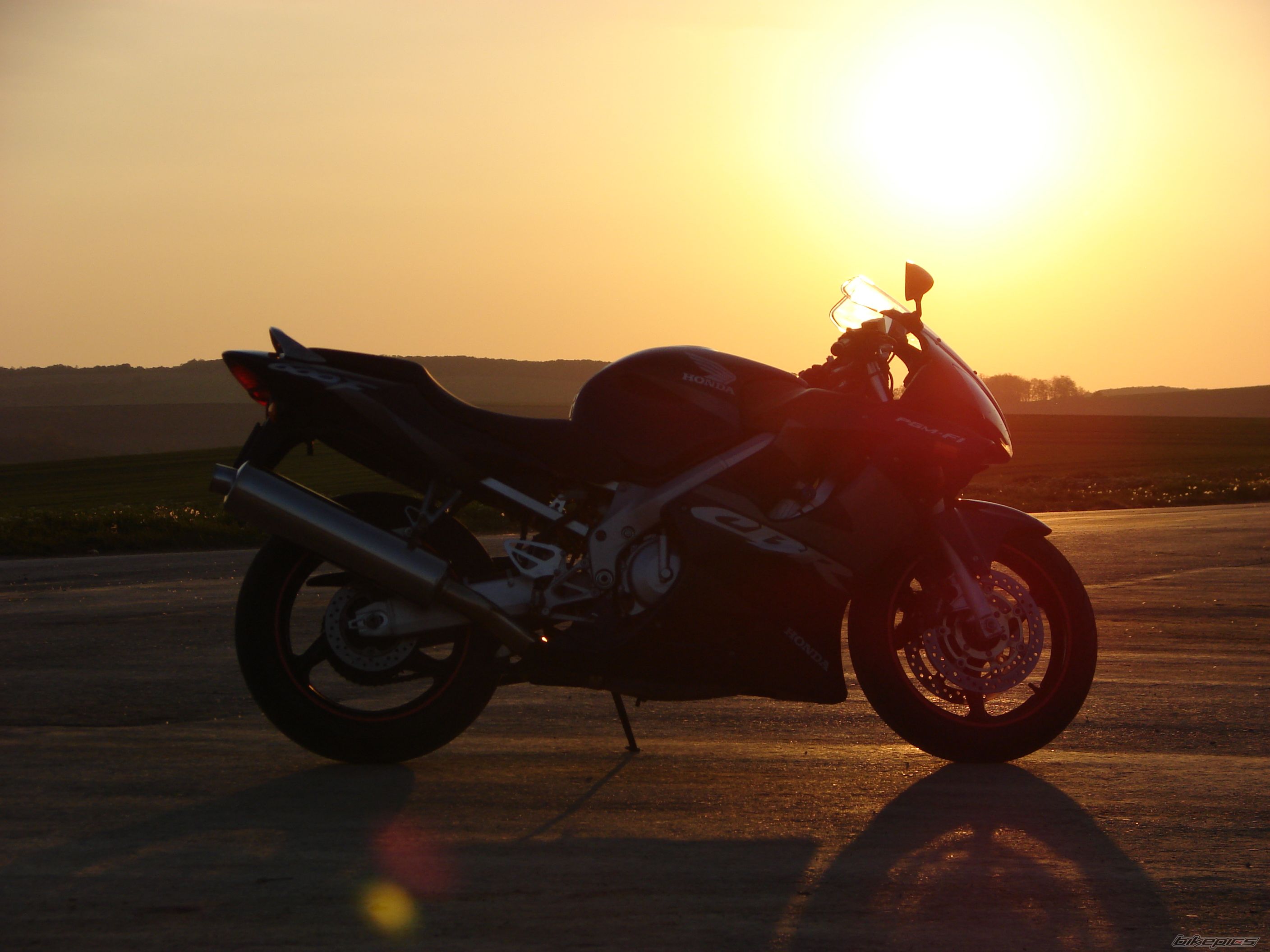 Photo 1395692