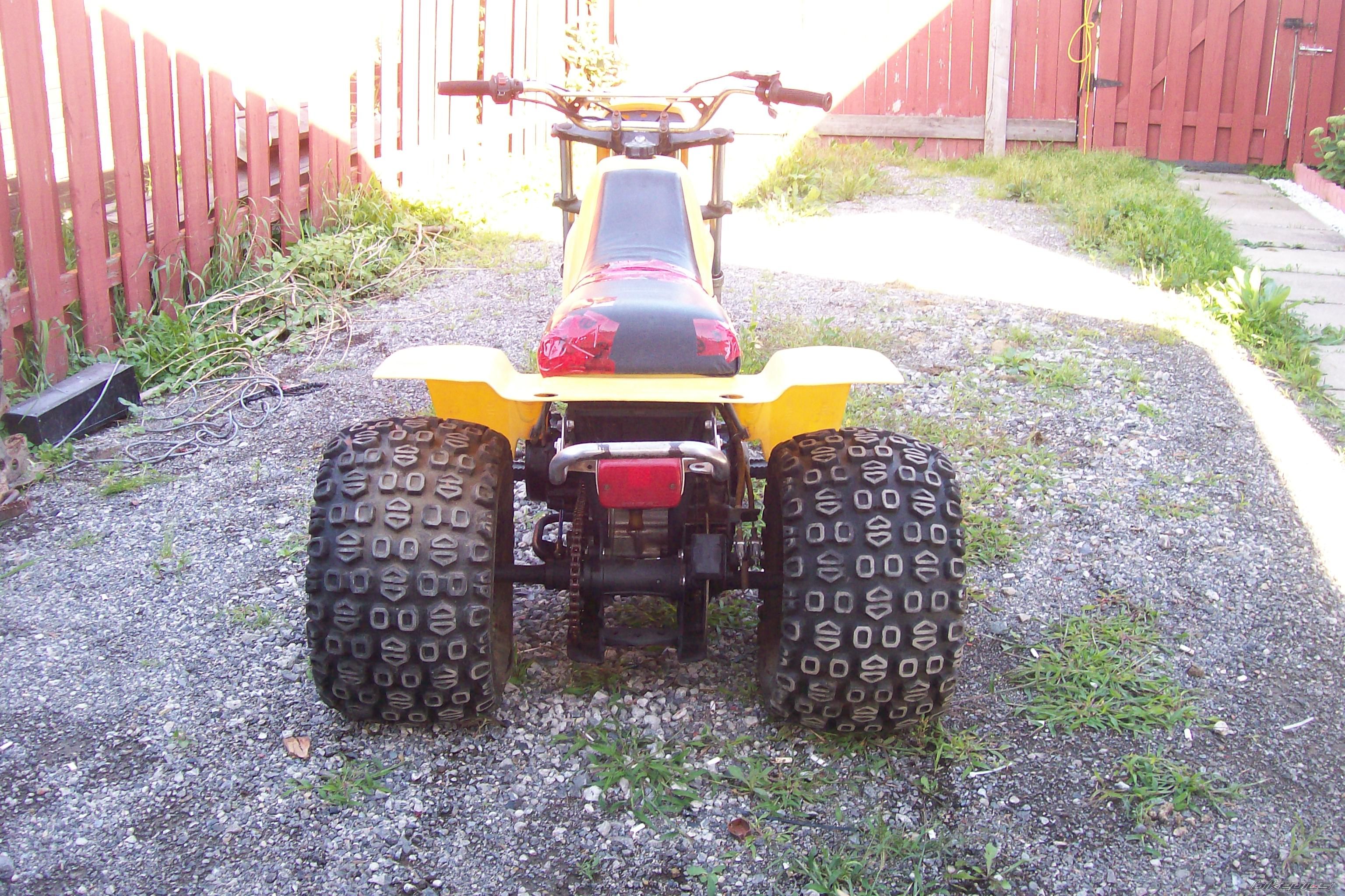 Photo 1395777