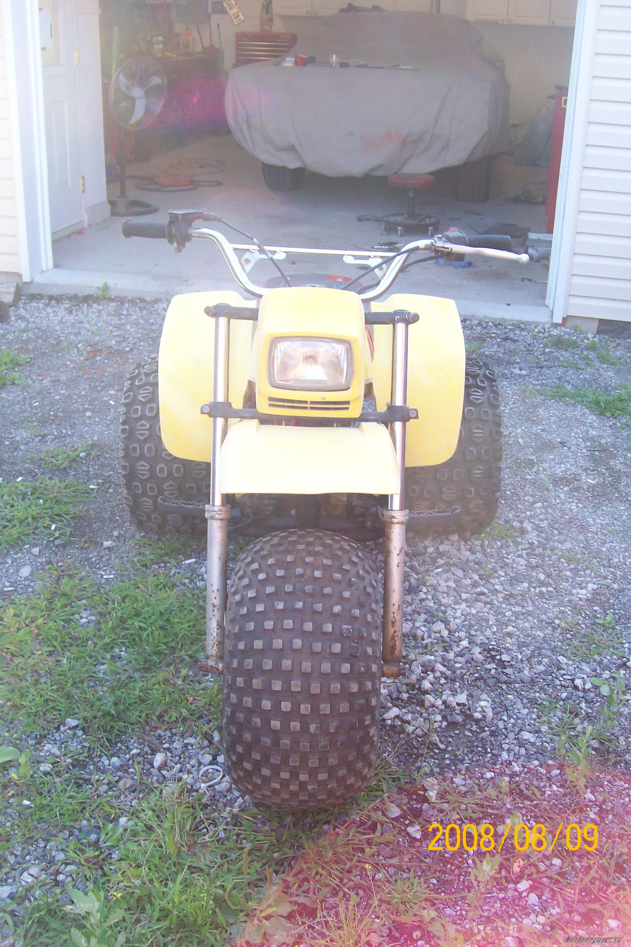 Photo 1395786