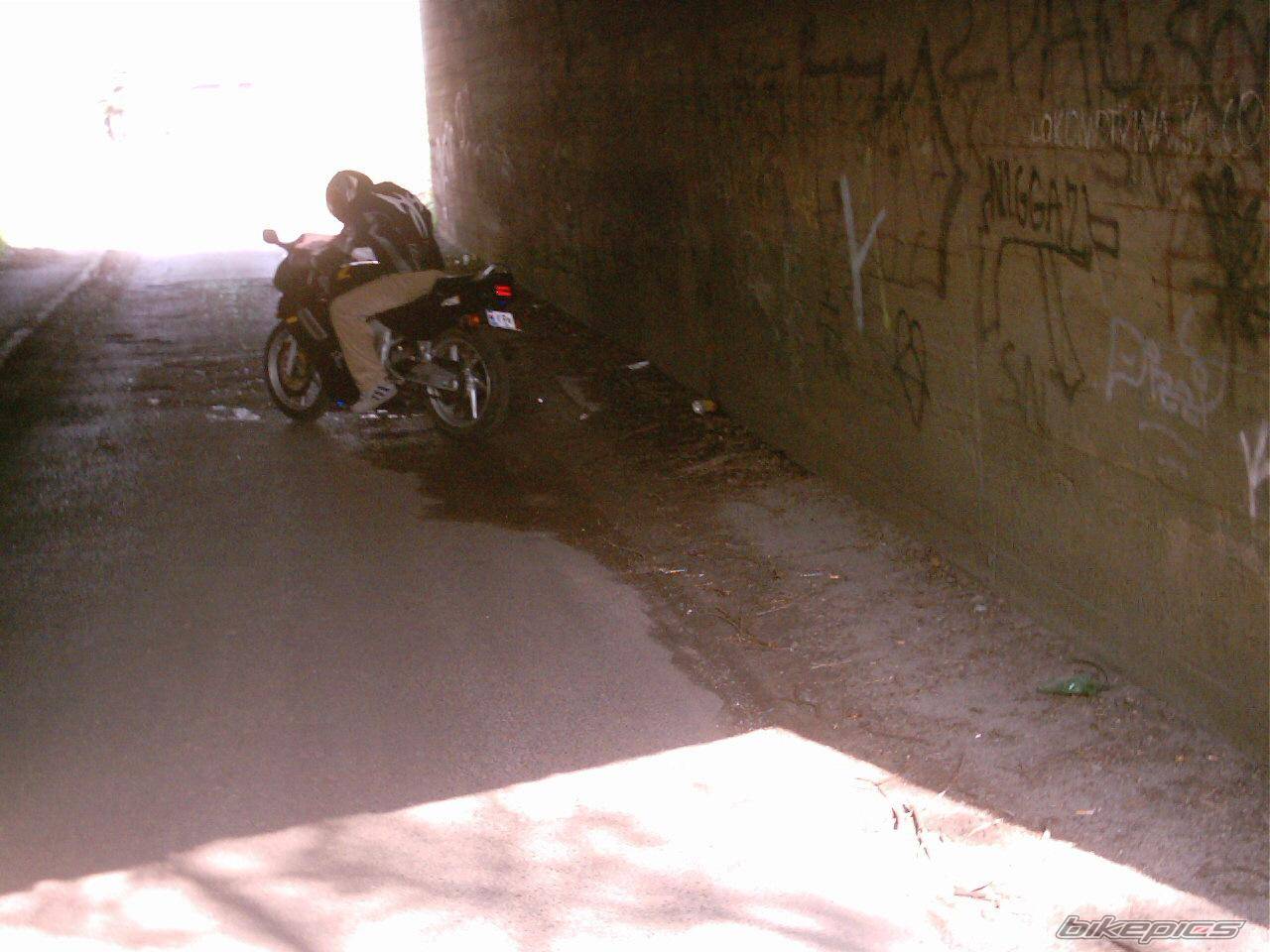 Photo 139579