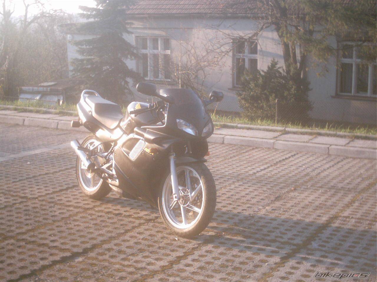 Photo 139585
