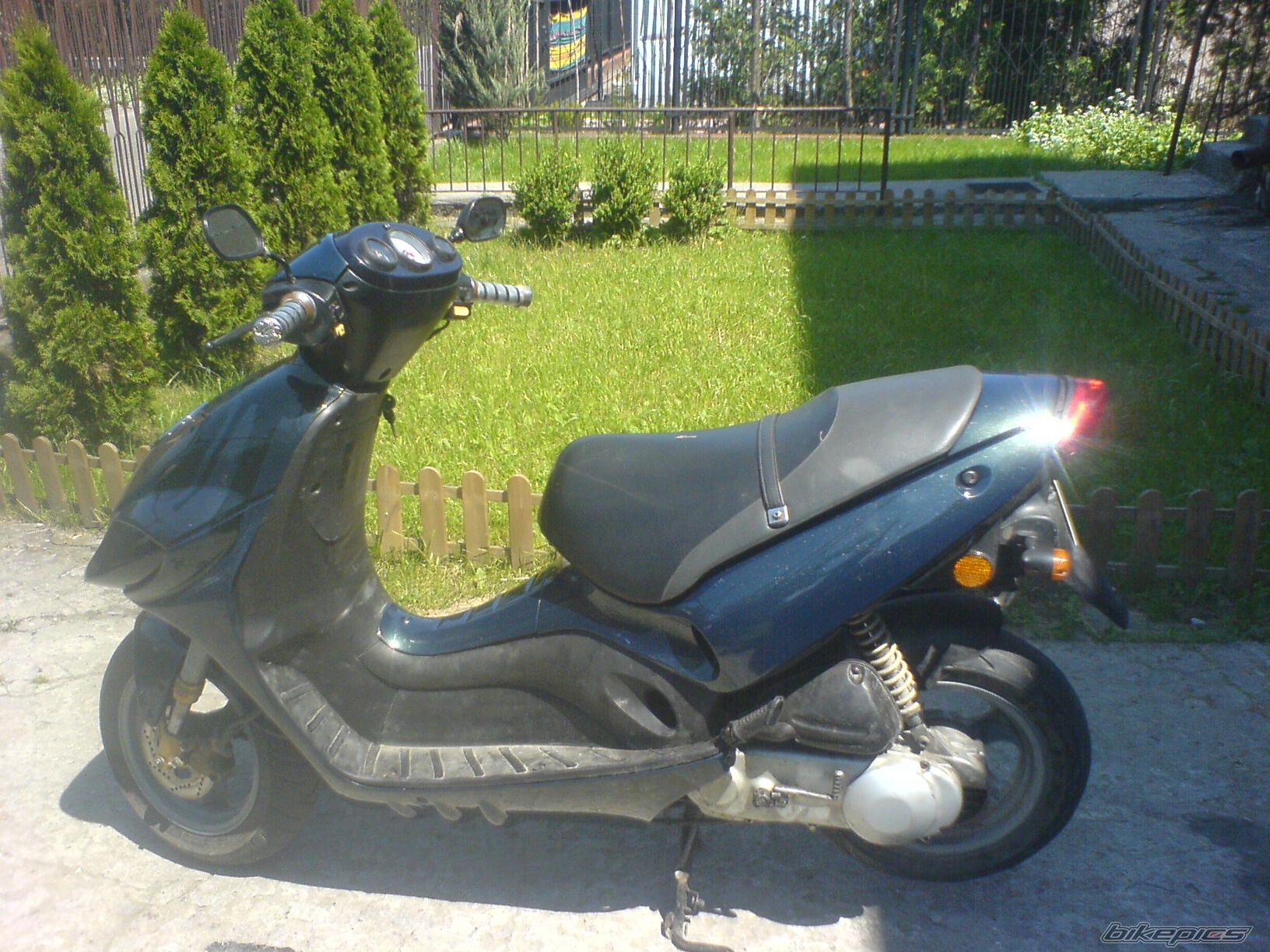 Photo 1395913