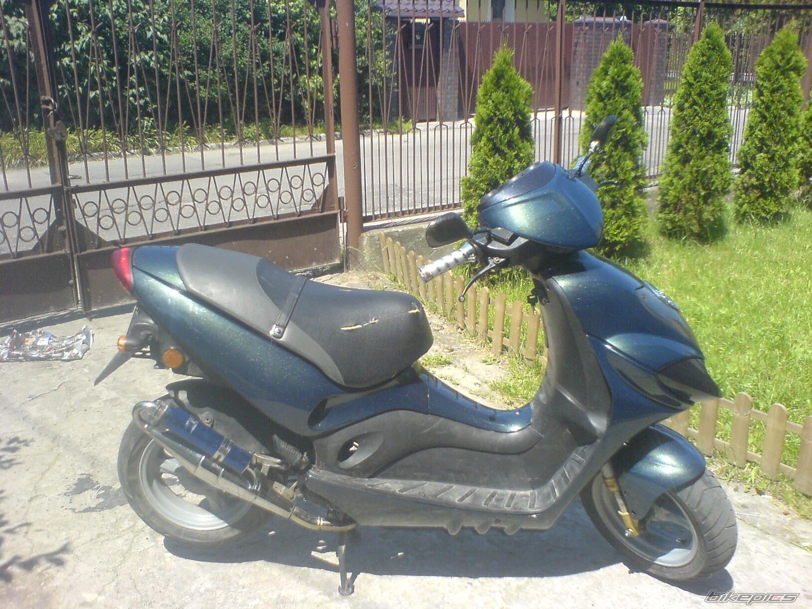 Photo 1395915