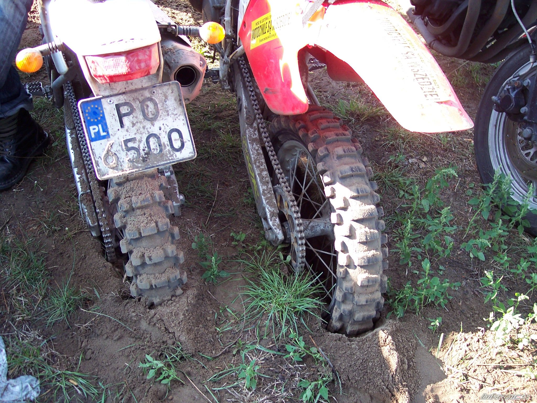 Photo 1395923
