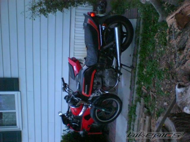 Photo 1395938