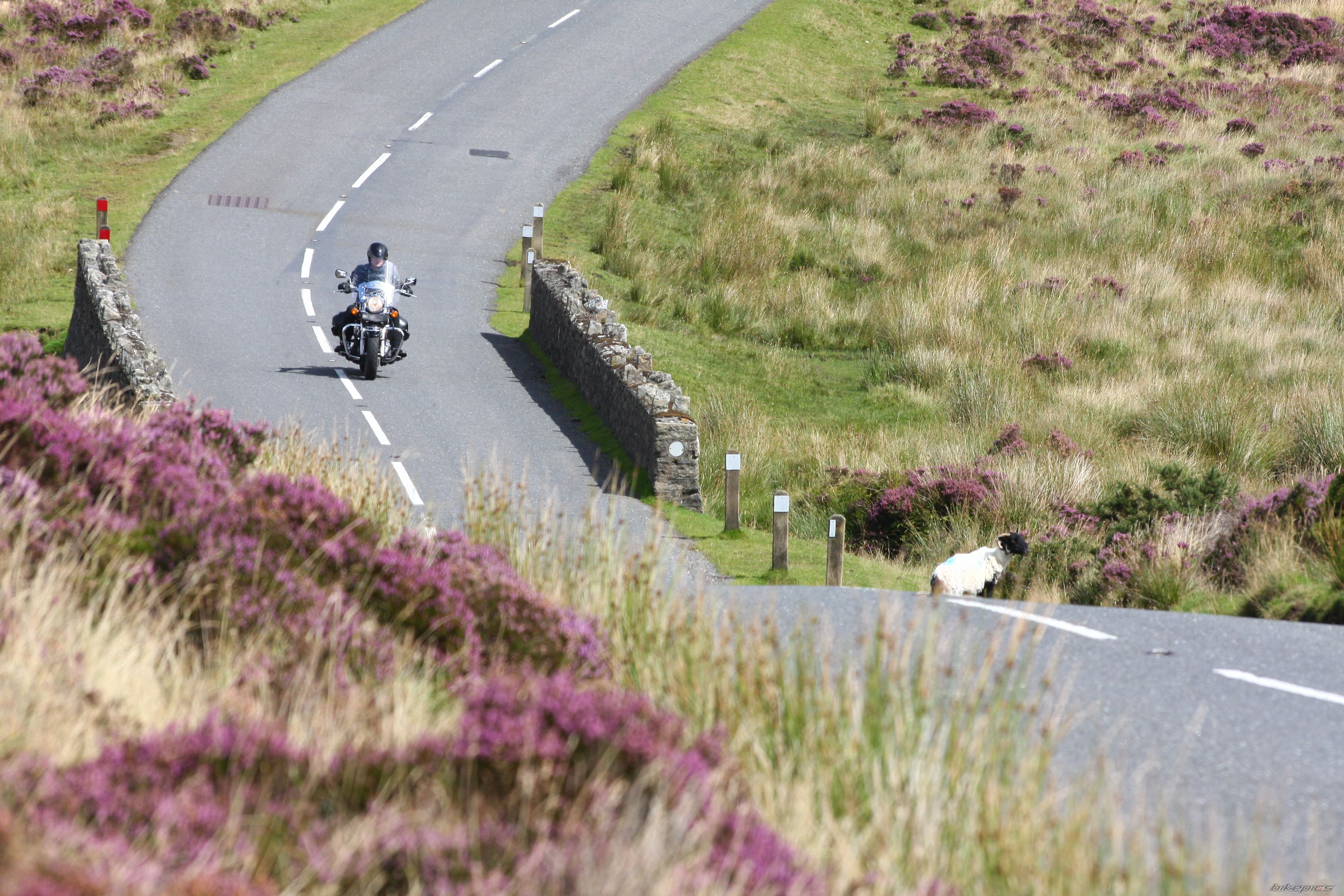 Bike Photo 1395965