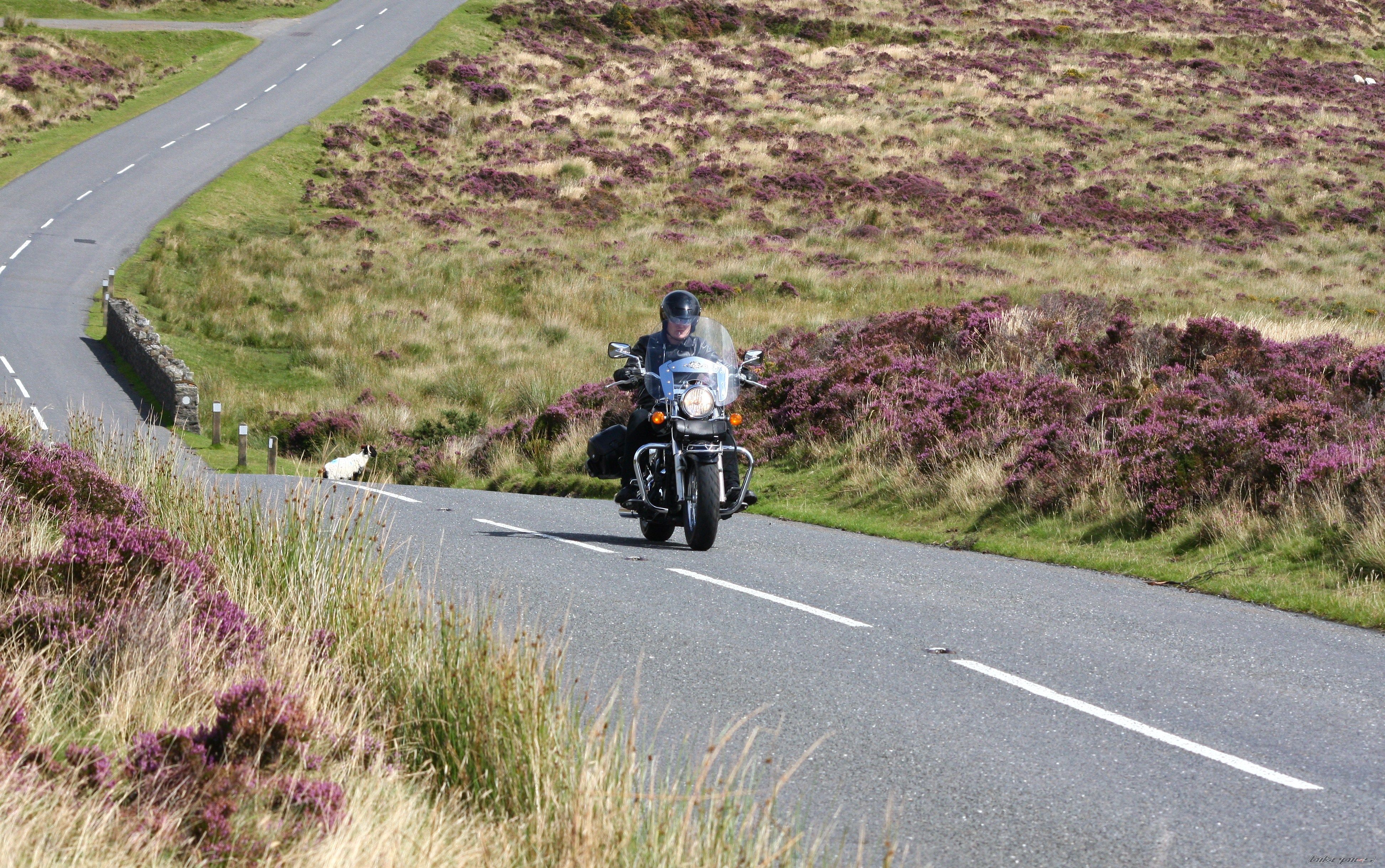 Bike Photo 1395966