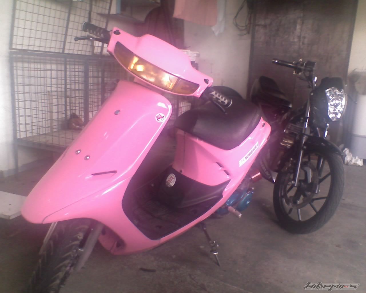 Photo 1395992