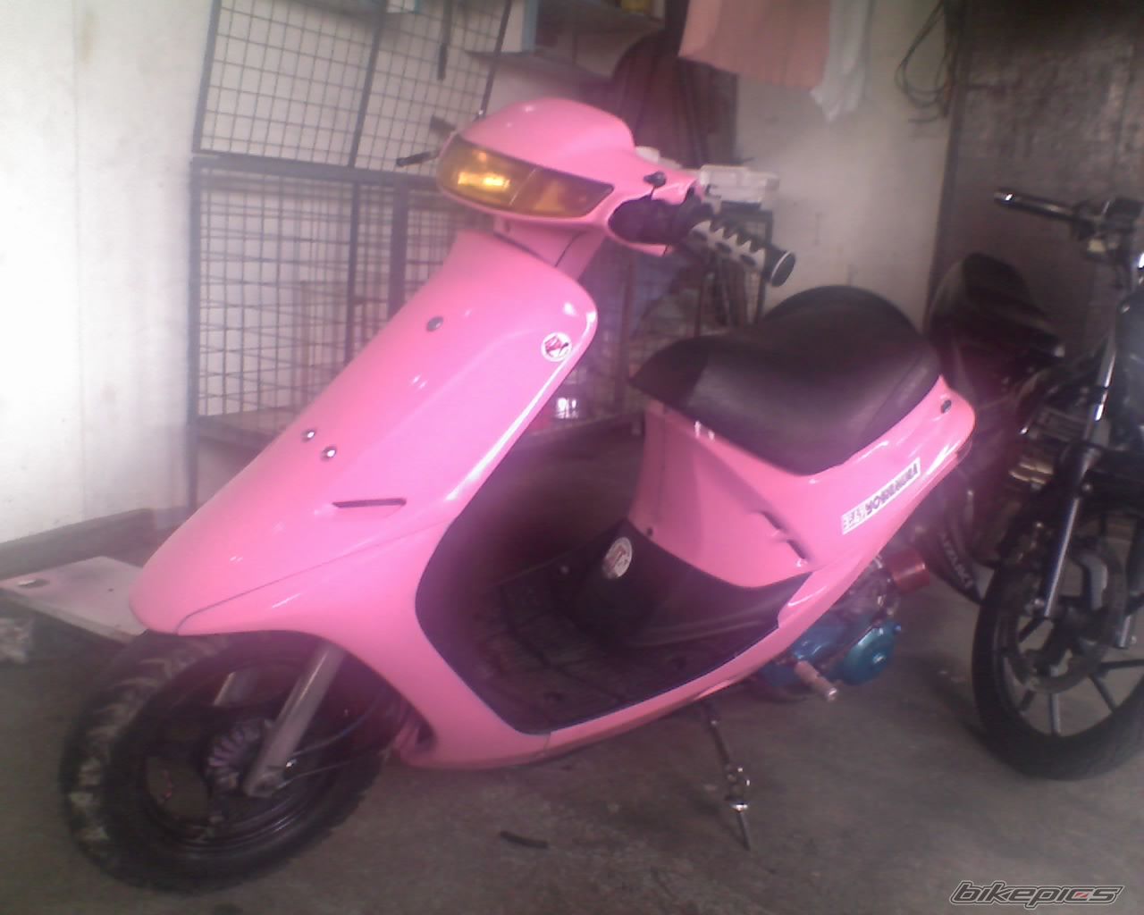 Photo 1395993