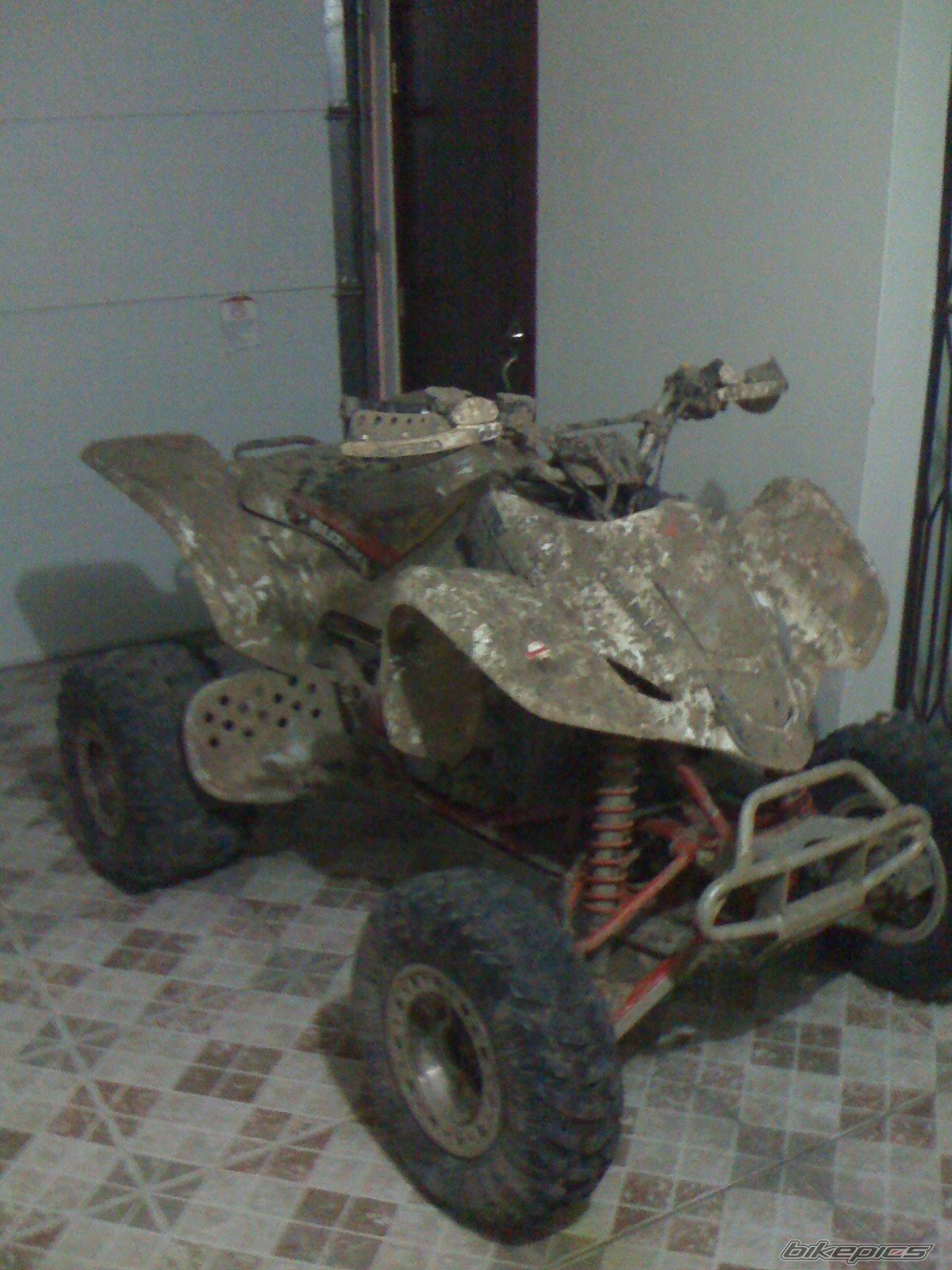 Photo 1396005