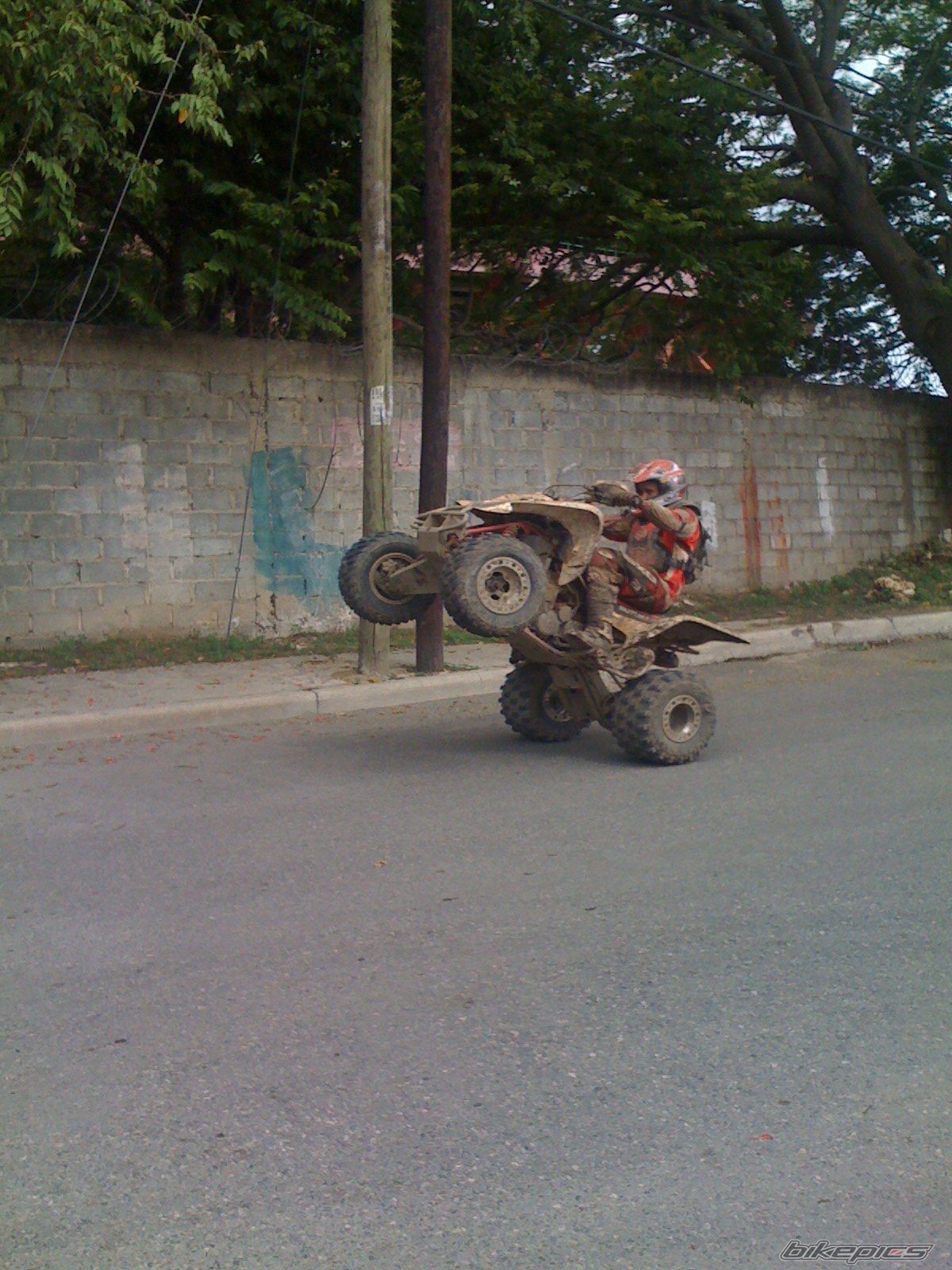 Photo 1396036