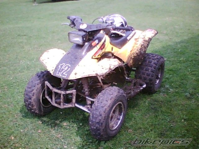 Photo 1396055