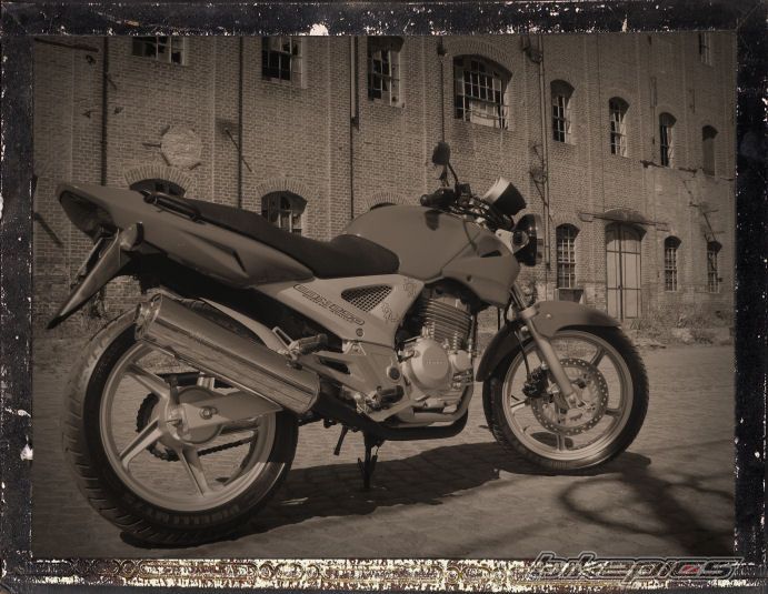 Photo 1396185