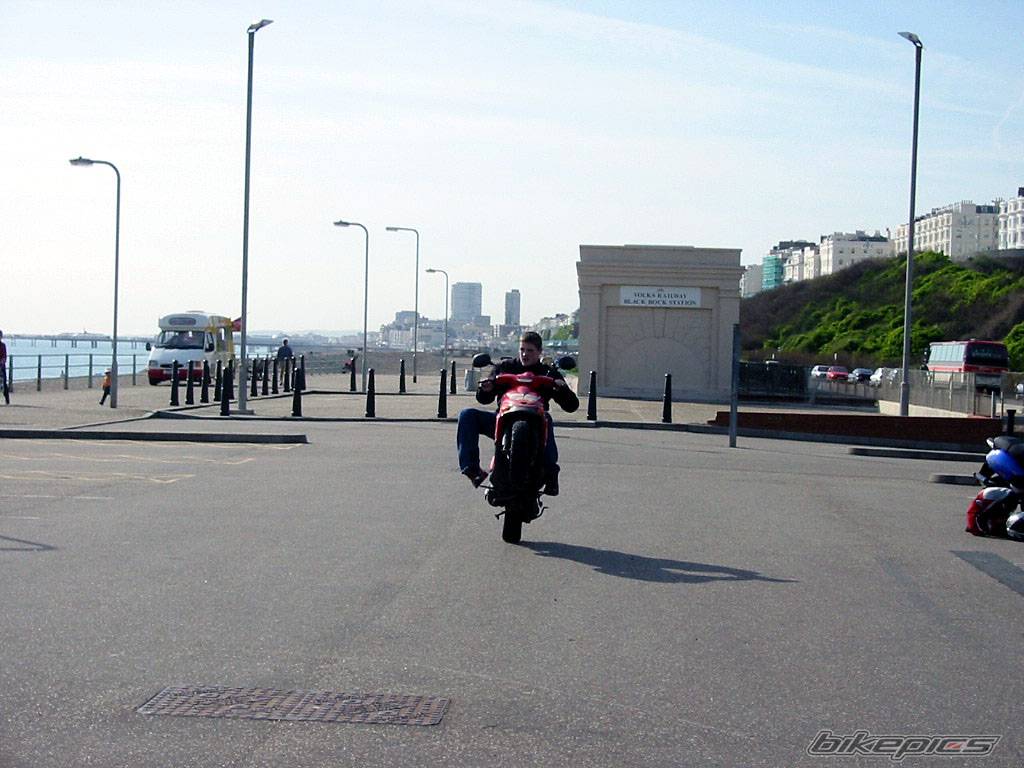 Photo 139619