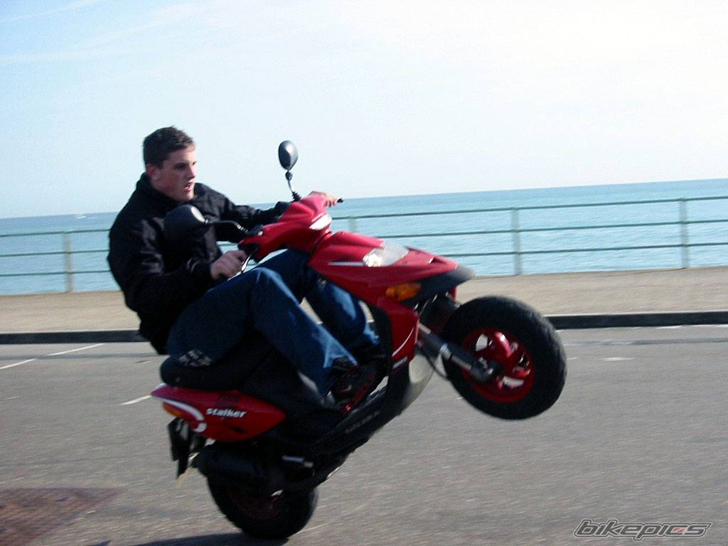 Photo 139625