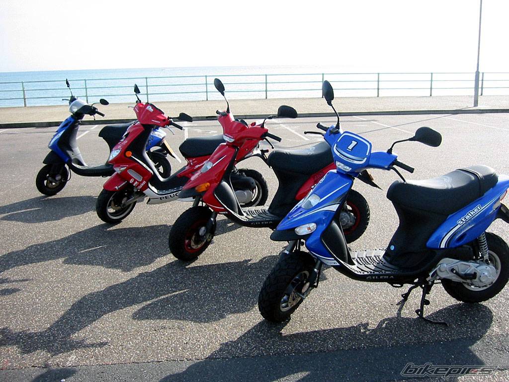 Photo 139628