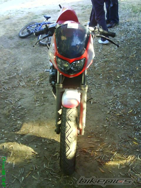 Photo 1396344
