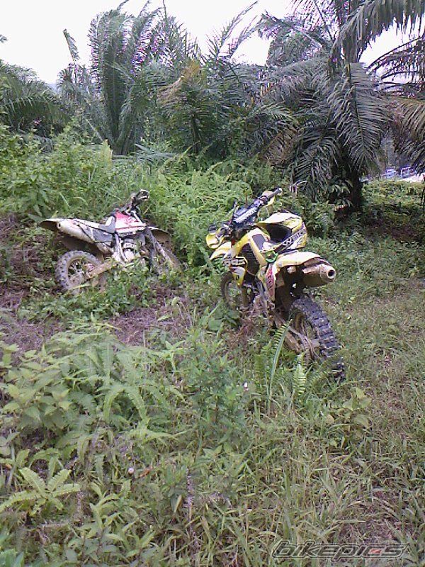 Photo 1396356