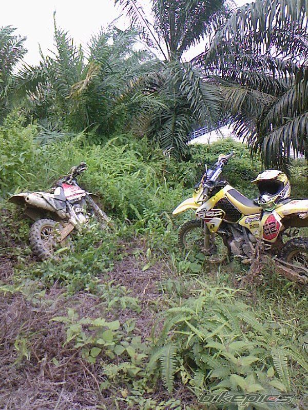 Photo 1396357