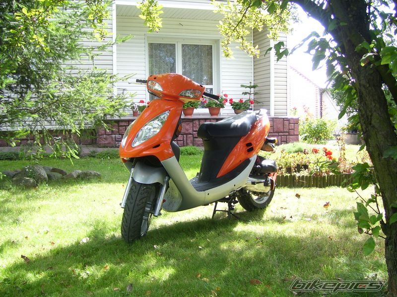 Photo 1396375